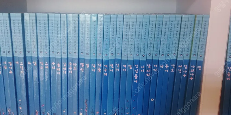 백과사전 자연관찰 중고전집