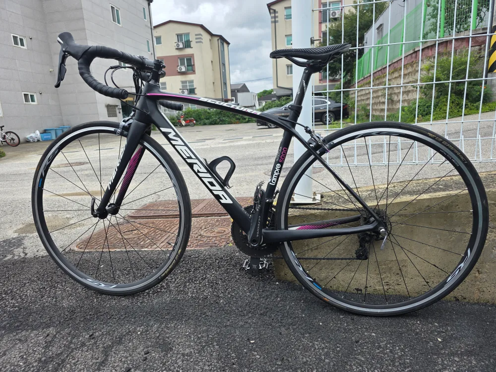 메리다 스컬트라 5000 로드 자전거