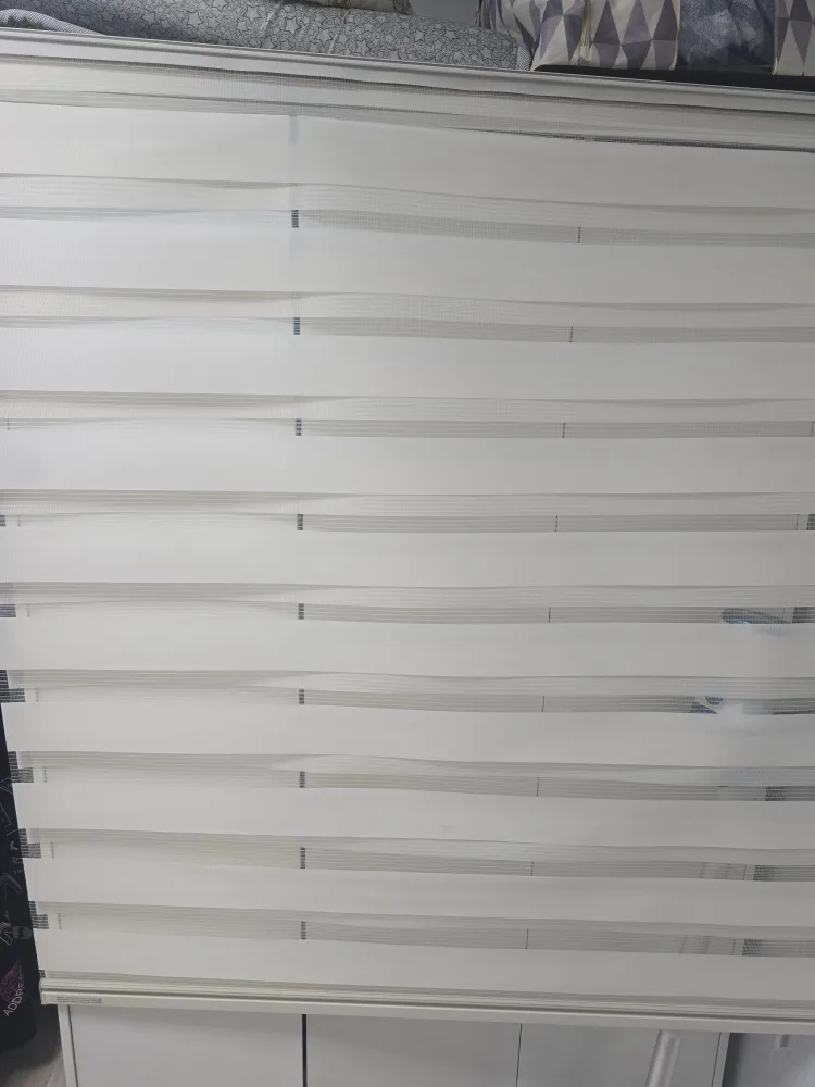 듀오 아이보리 블라인드