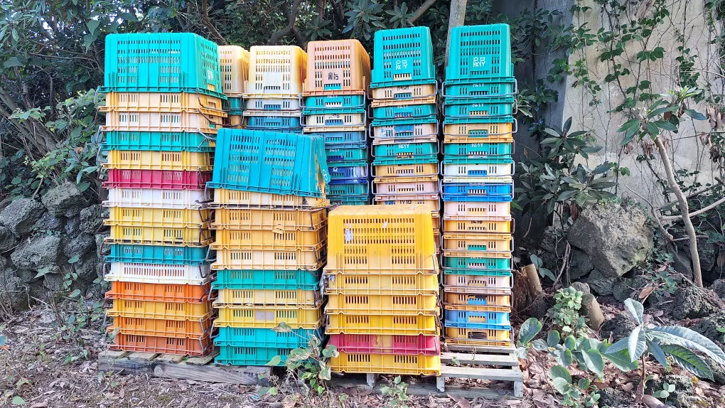 중고 콘테나 상자