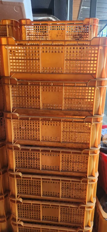 중고 콘테나 박스 팝니다