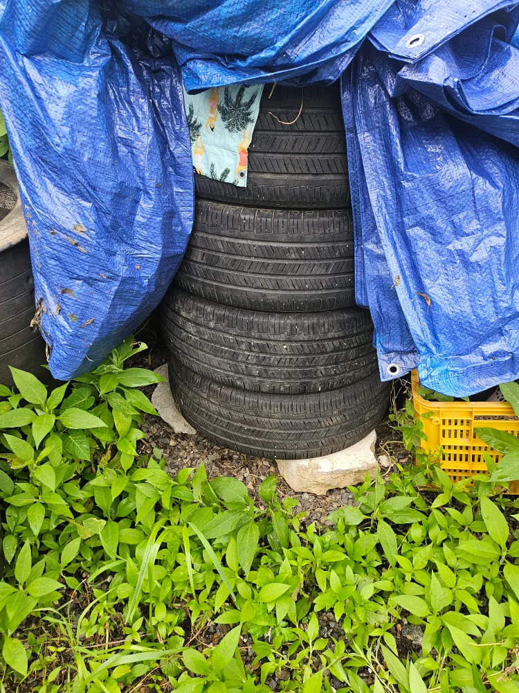 215/55R17 중고 타이어