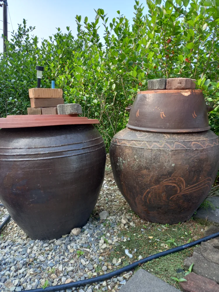 100년 정도된 옹기 항아리