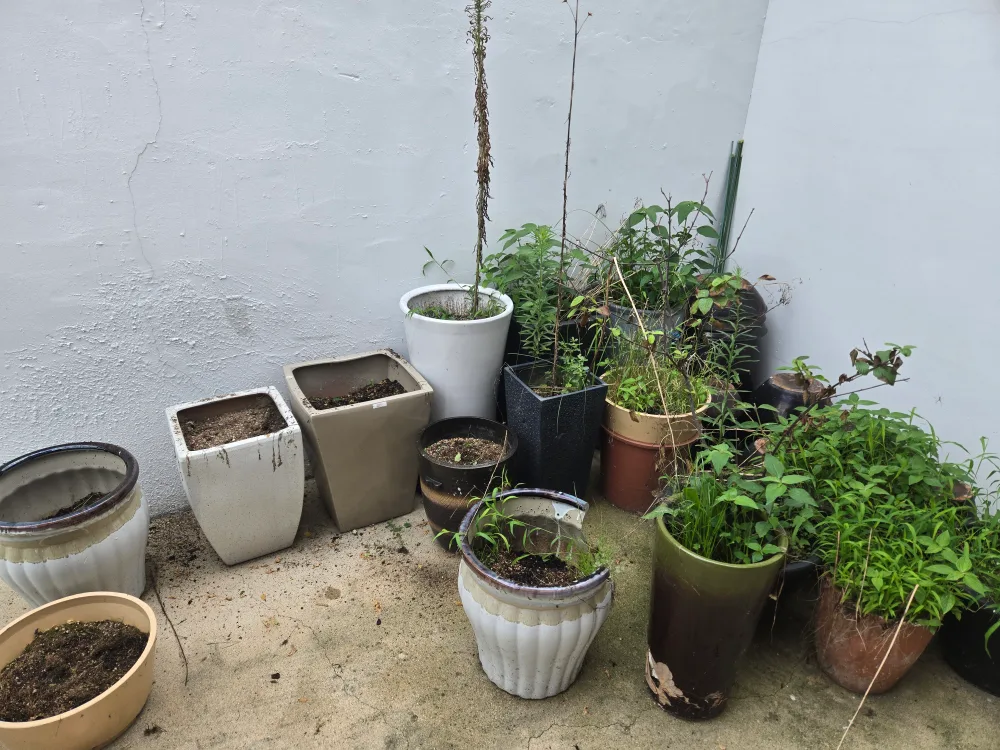 중고 화분 모음