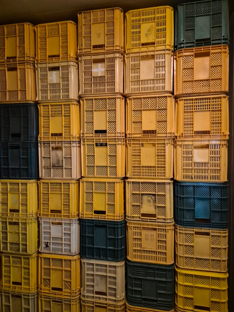 중고 과일 플라스틱 상자 팝니다.