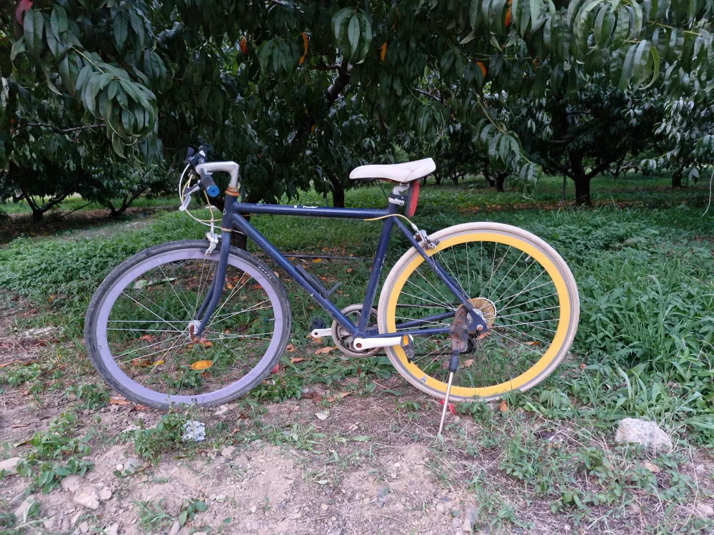 중고 자전거 판매