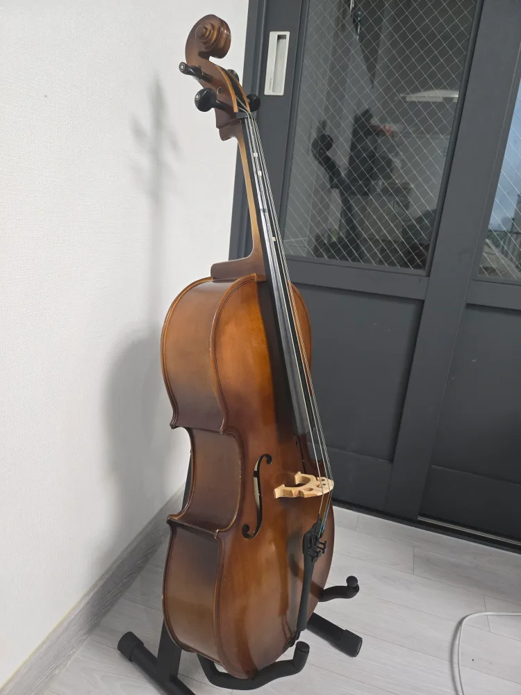 첼로 1/8 (제일 작은 사이즈)