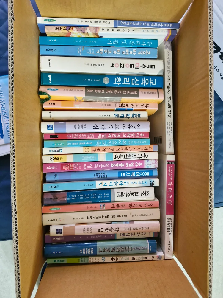 유아교육 중고서적