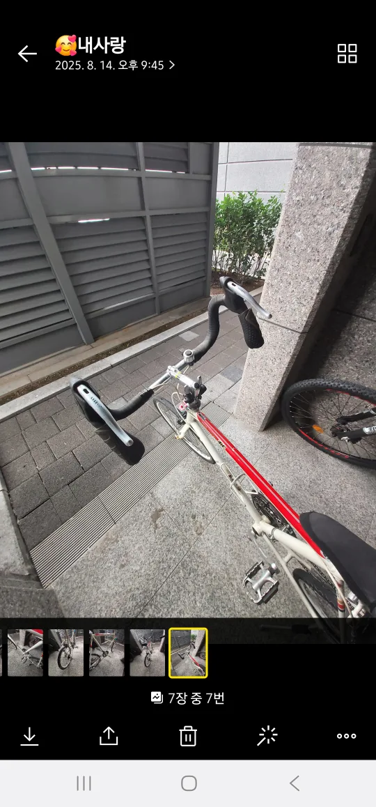 Someday Bicycle 자전거