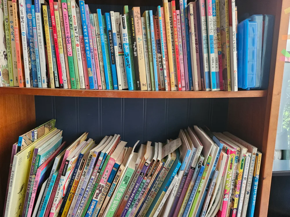 중고 아동 도서 모음