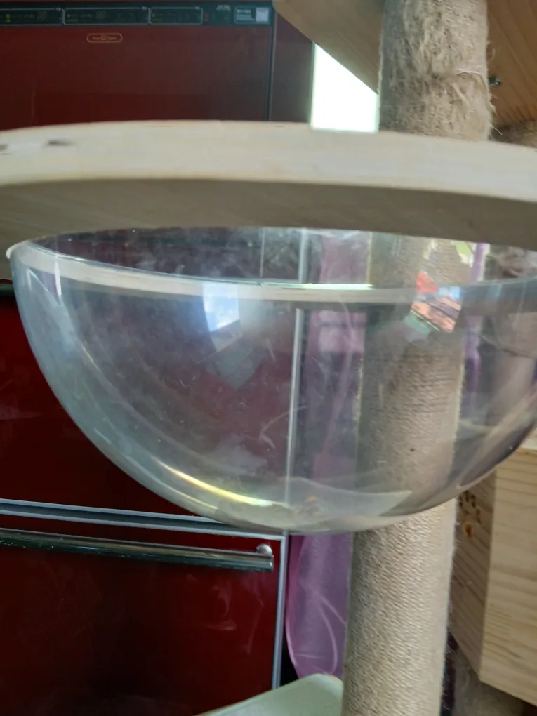 중고 고양이캣타워