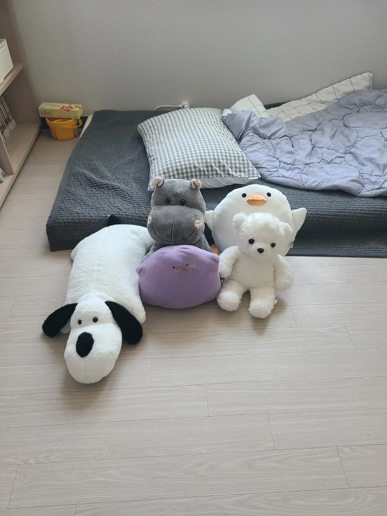 인형 모음