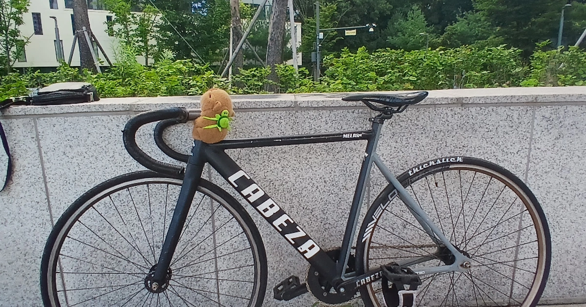 픽시 자전거 팔아요 판/대 급처 | 스포츠/레저 | 당근 중고거래