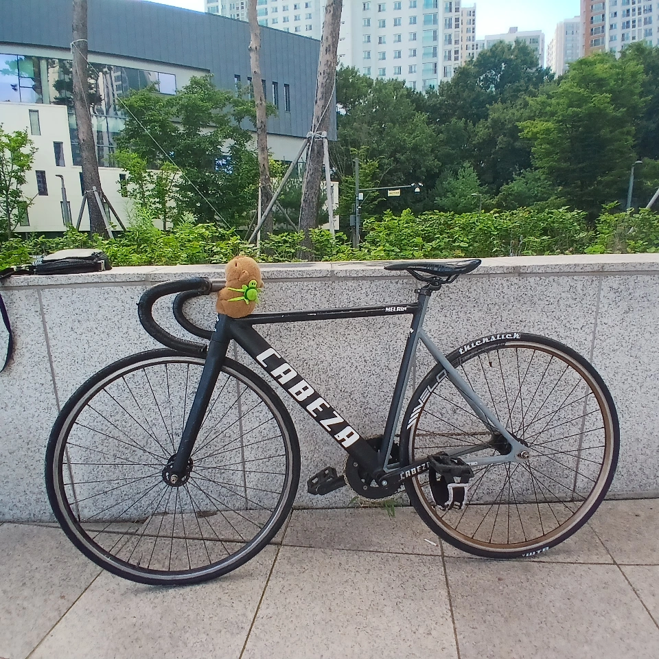 픽시 자전거 팔아요 판/대 급처 | 스포츠/레저 | 당근 중고거래