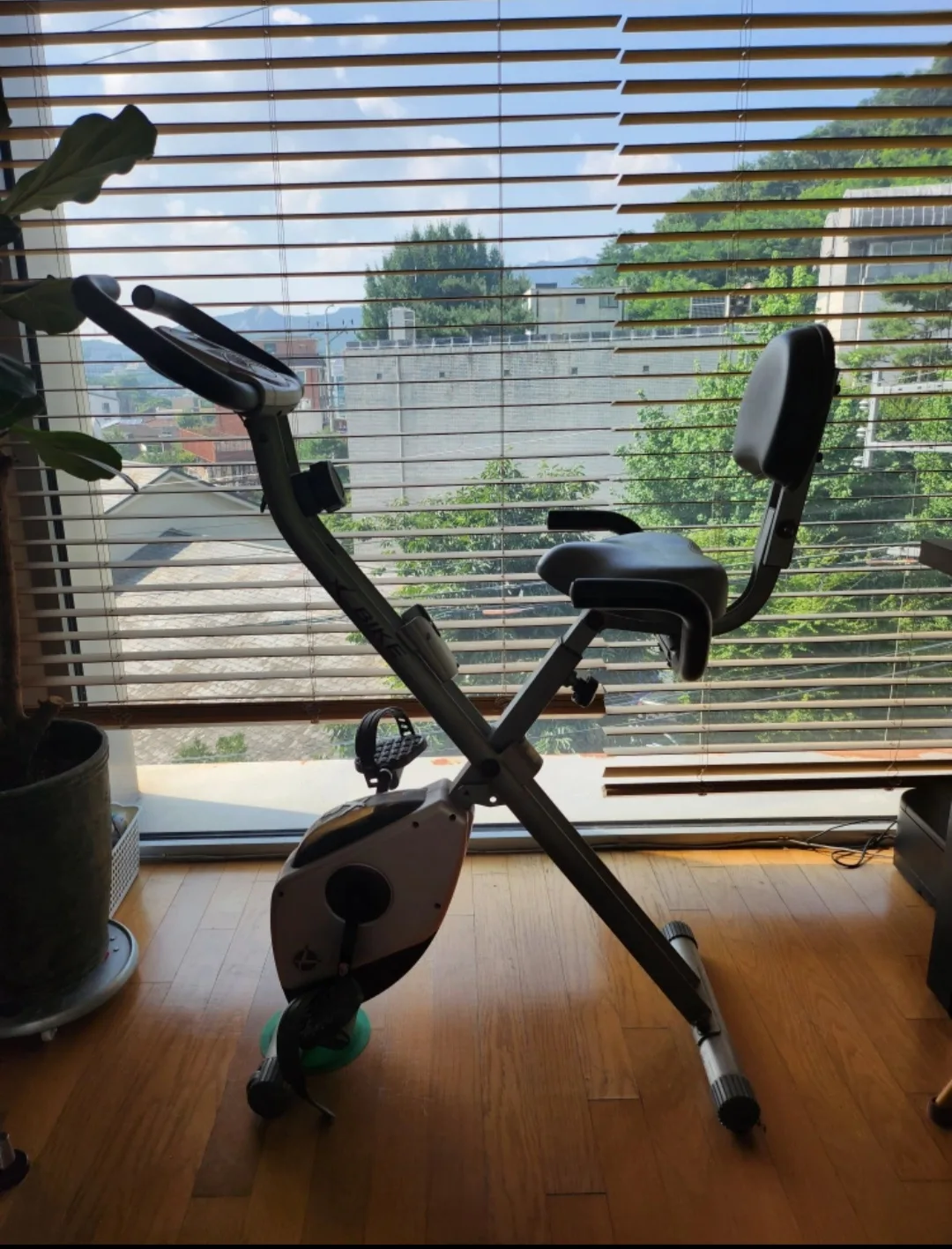 당근마켓 중고상품