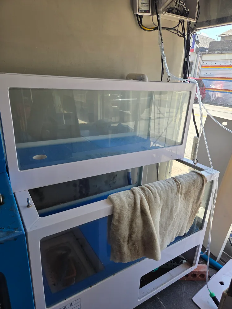 중고 어항 판매