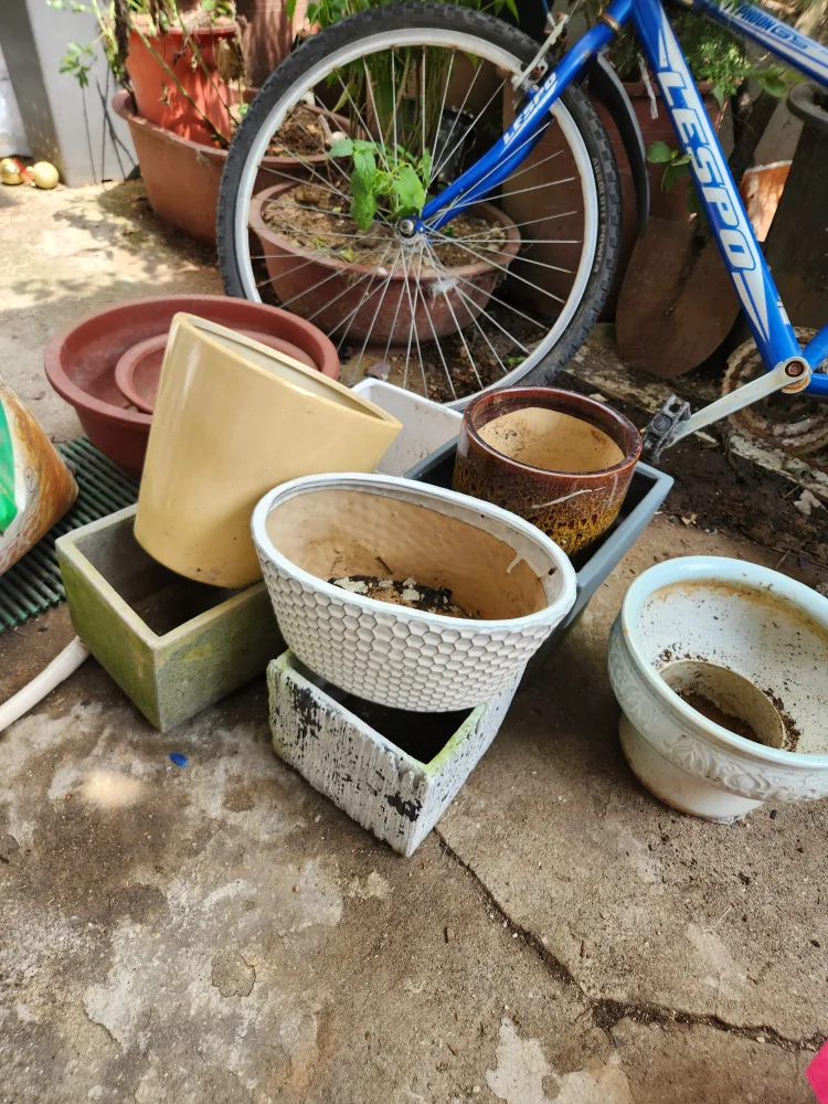 중고 화분 모음