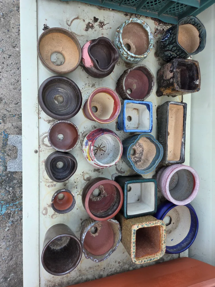 다양한 중고   화분 모음