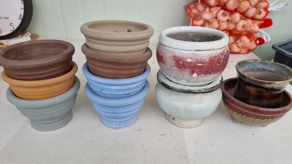 중고화분 판매합니다