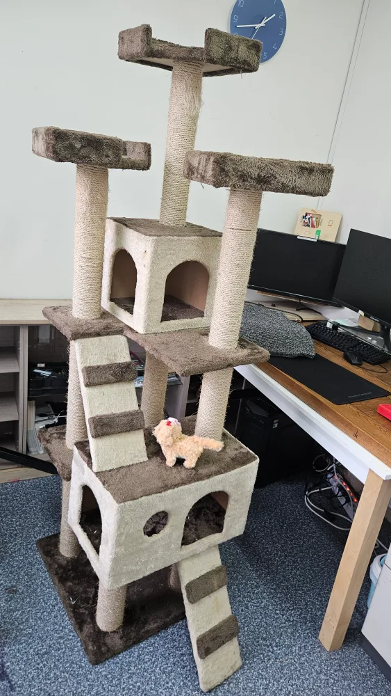 중고 고양이 캣타워 나눔해요