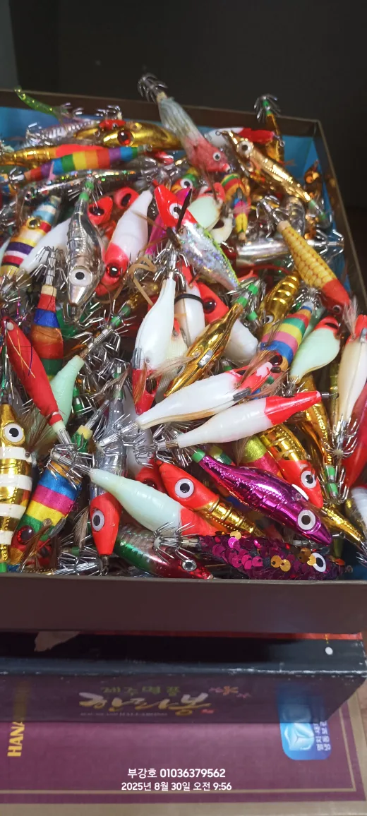 중고애기무작위100개만원