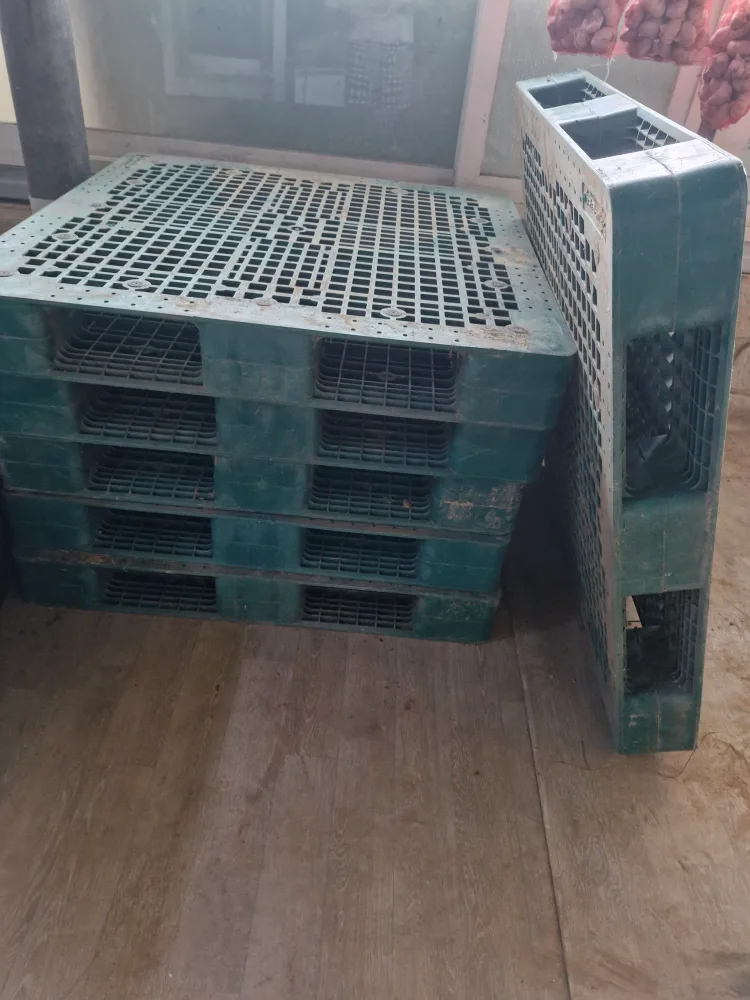 중고 플라스틱 파레트