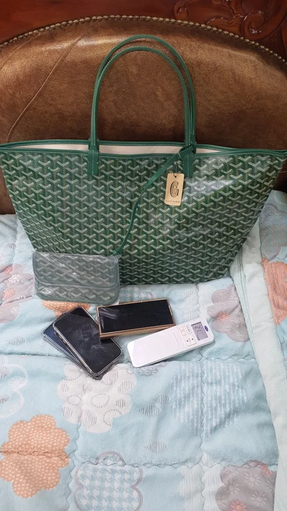 고야드 생루이 그린 GM