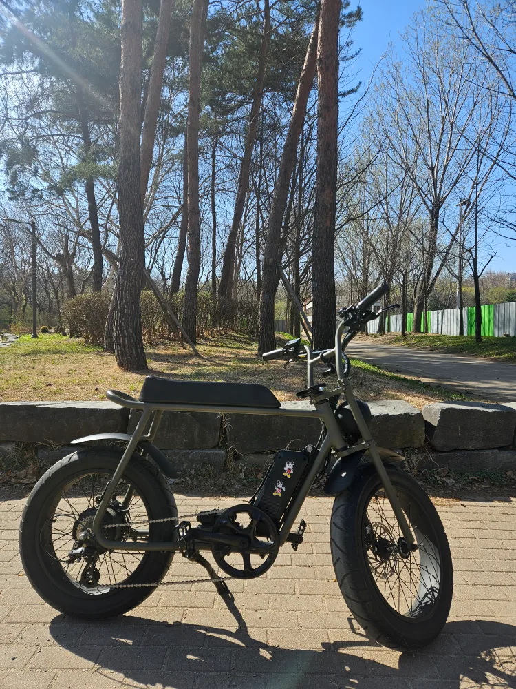 모페즈 1000w 전기 자전거 판매합니다.