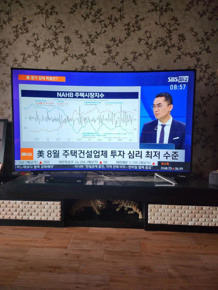 화질 음질 빵빵한 65인치 커브드 LED 디엘티 TV