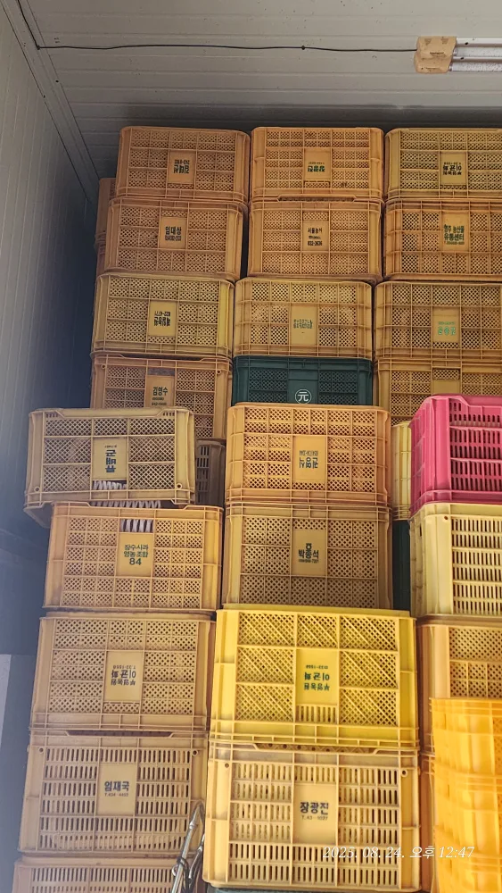 중고 콘티박스 판매