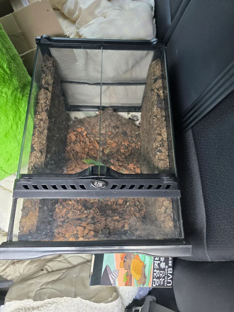 엑소테라 유리장 303045 중고