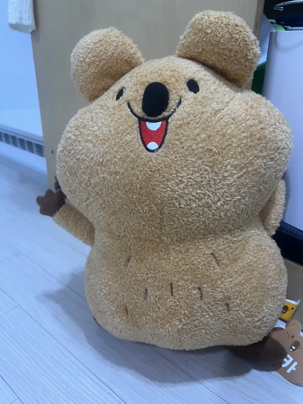 뚱카 쿼카 인형 새상품