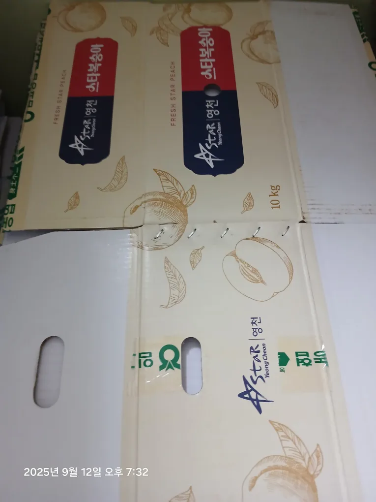 영천 복숭아 10kg박스 중고품 판매합니다.