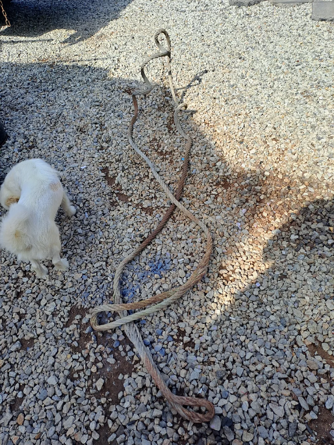 중고 와야밧줄기리4매다입니다