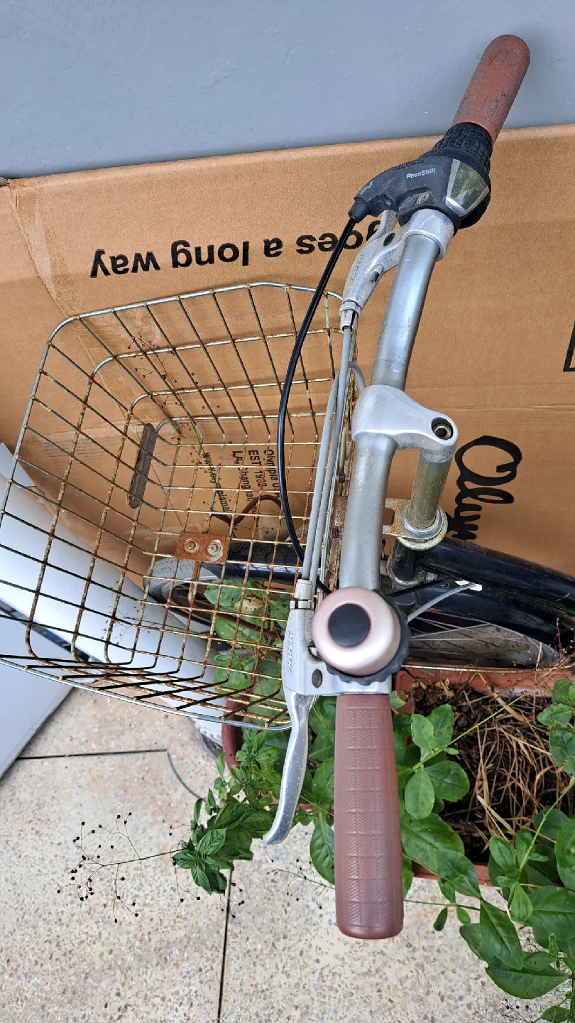 성인 자전거 (중고)