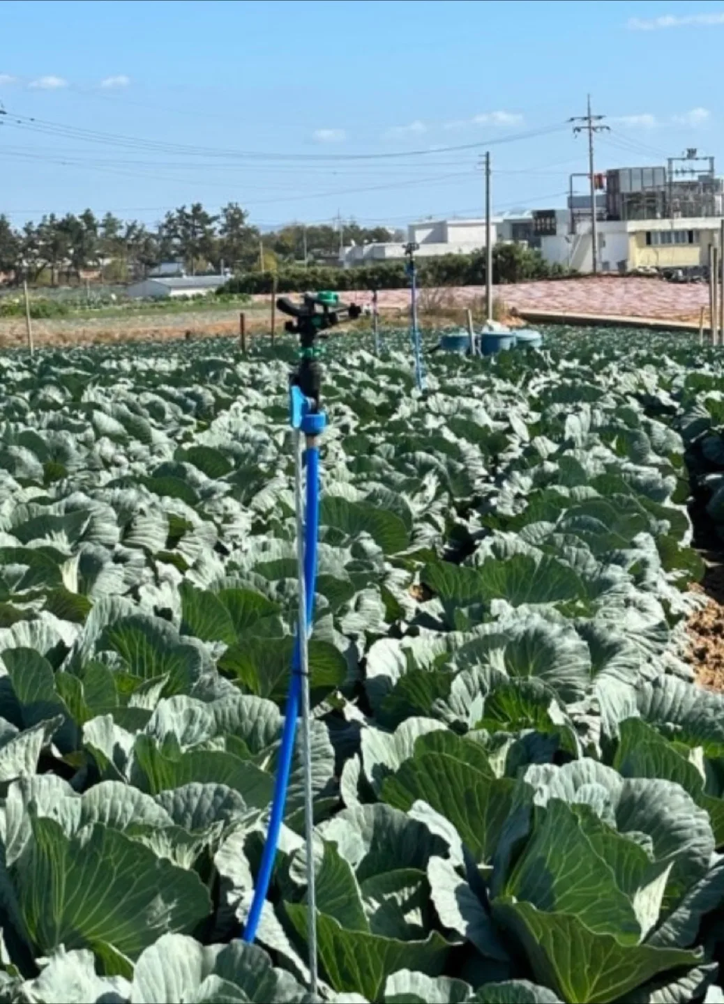 중고 스프링쿨러 삽니다