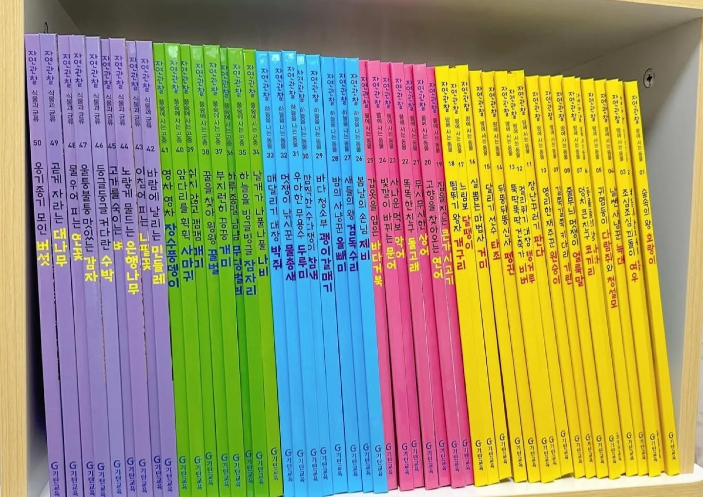 기탄교육 자연관찰 전집