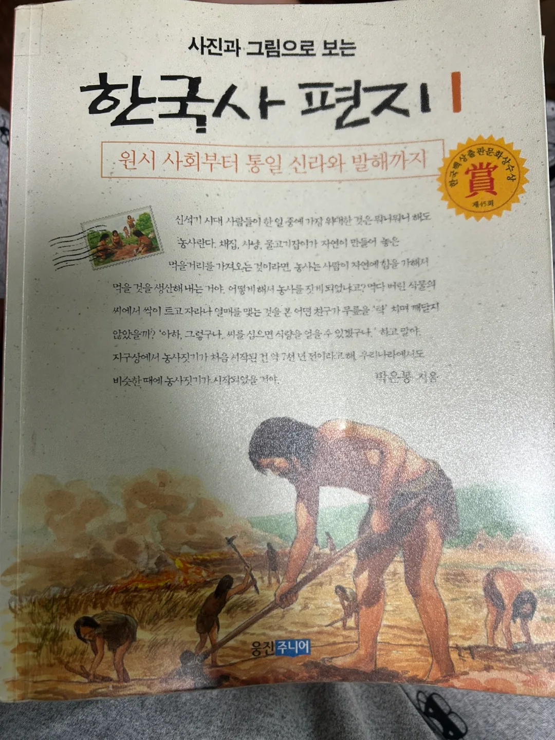 다양한 중고 책 모음