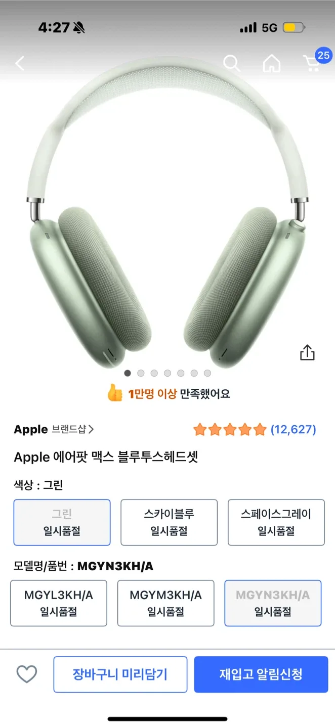 에어팟 맥스 그린