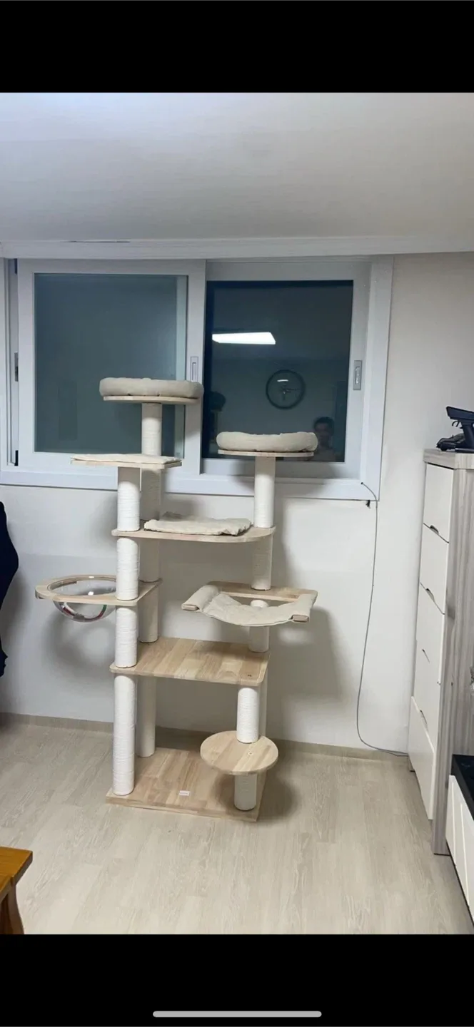 고양이 휠, 캣타워