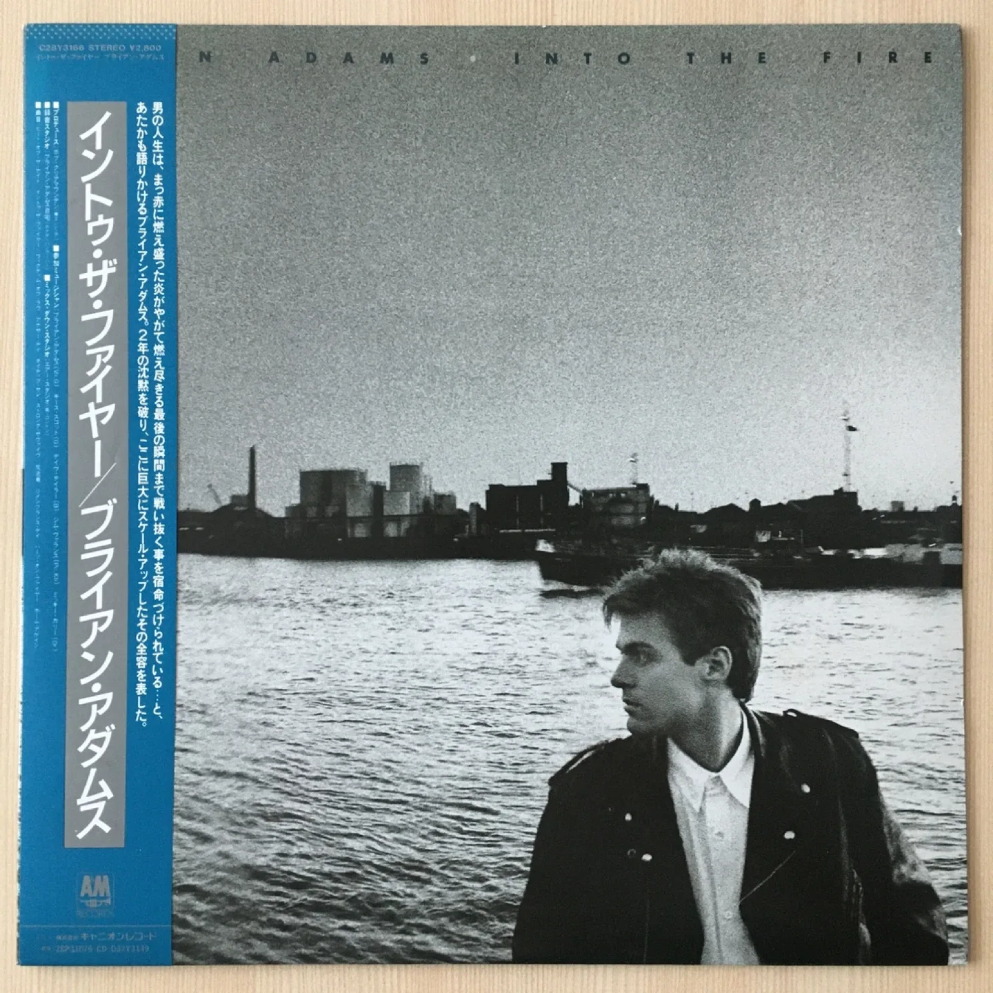 [상태좋은 중고수입LP] Bryan Adams - Into the Fire