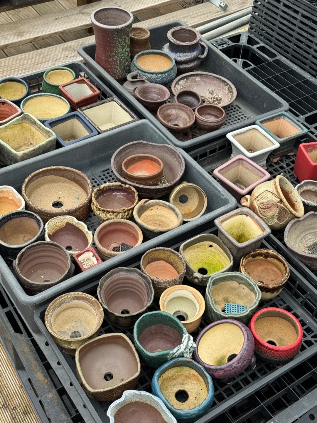 중고화분 다육화분 2천원 균일가