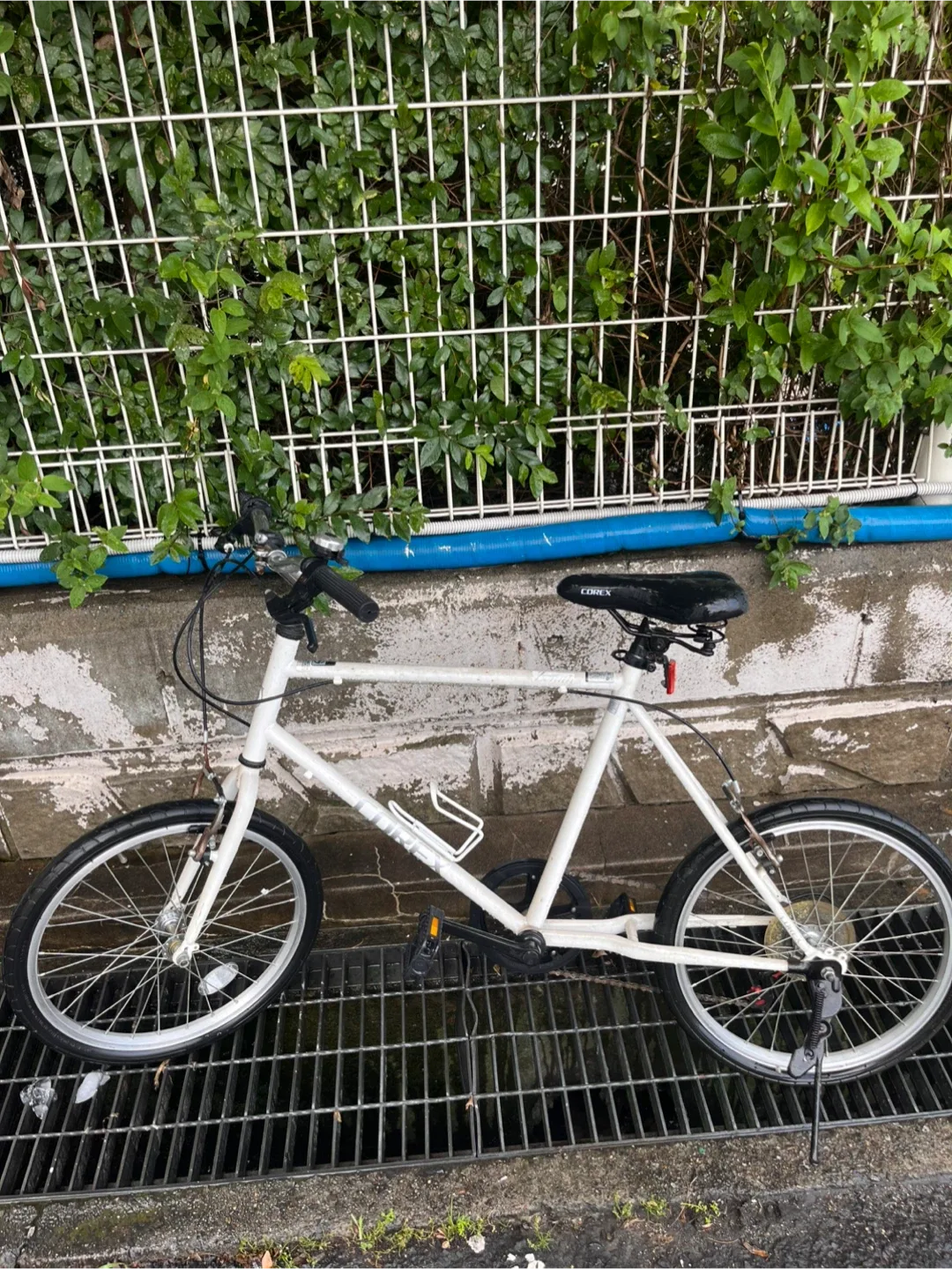 코렉스 자전거 팔아요