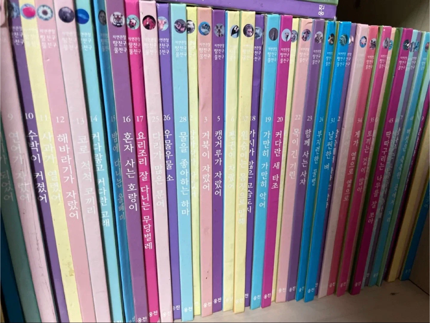 중고책. /. 땅친구 물친구. 웅진 책. 어린이 유아