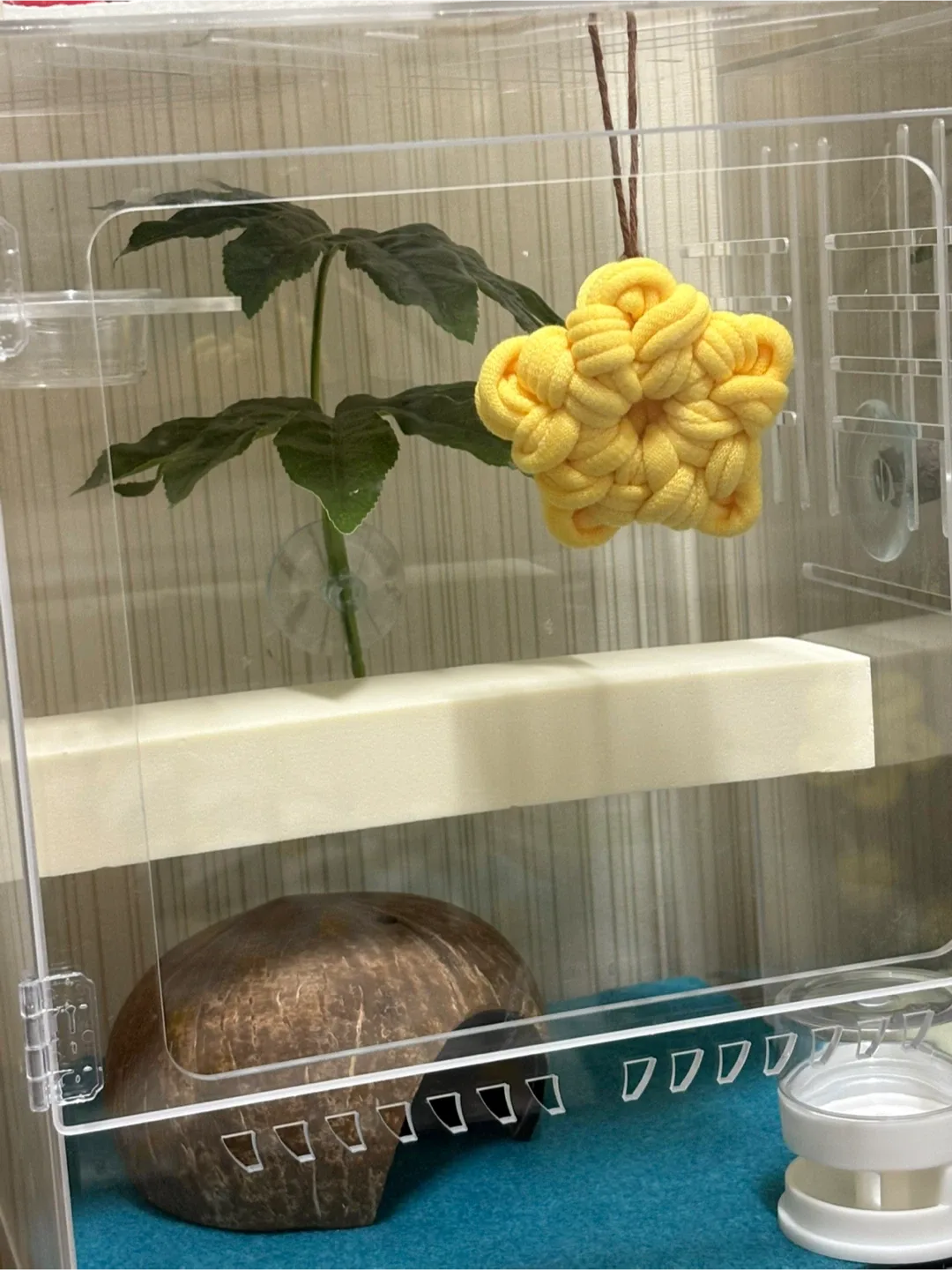 크레 도마뱀 아크릴 케이지 파충류 사육장