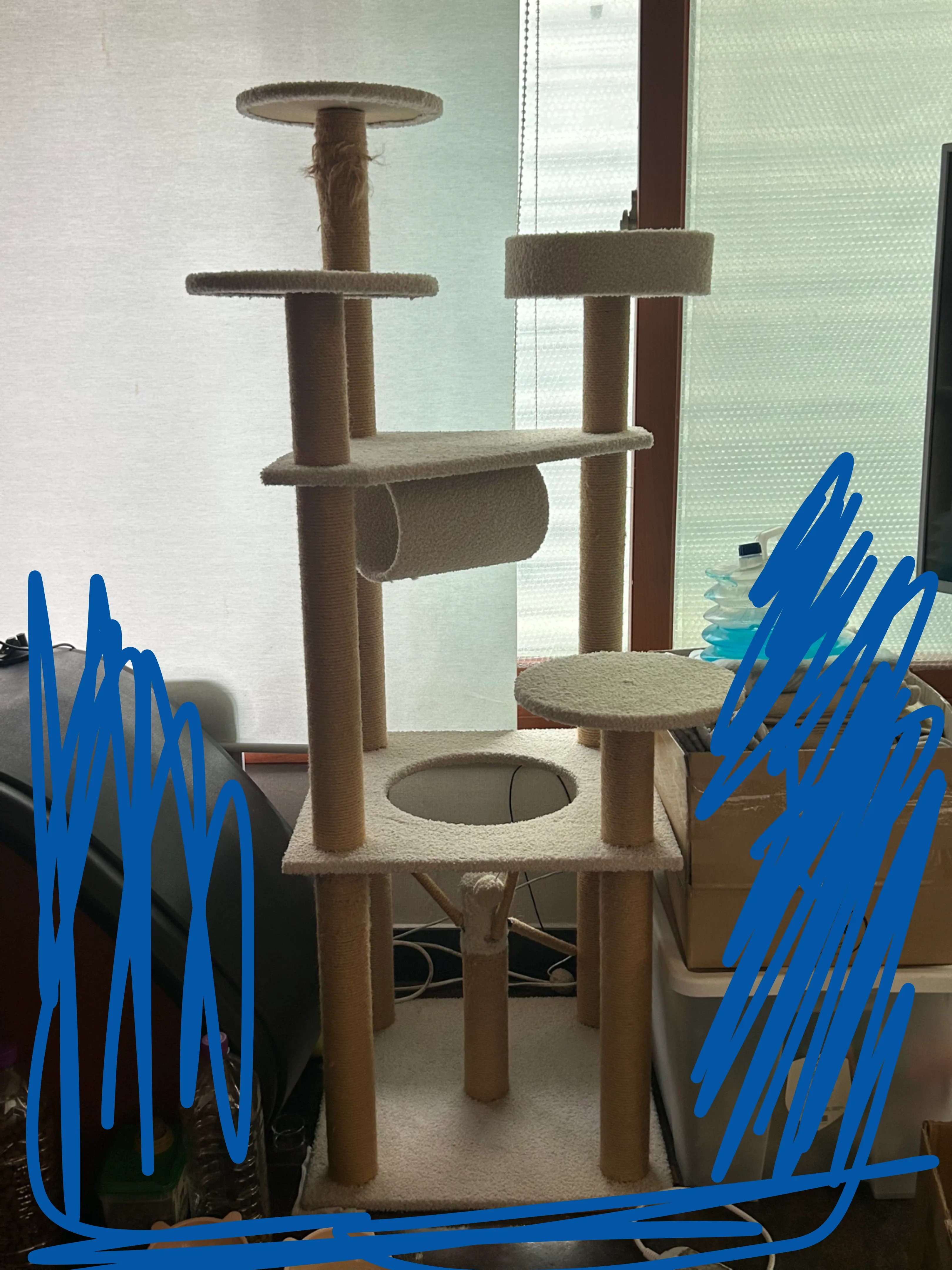 중고 캣타워 나눔