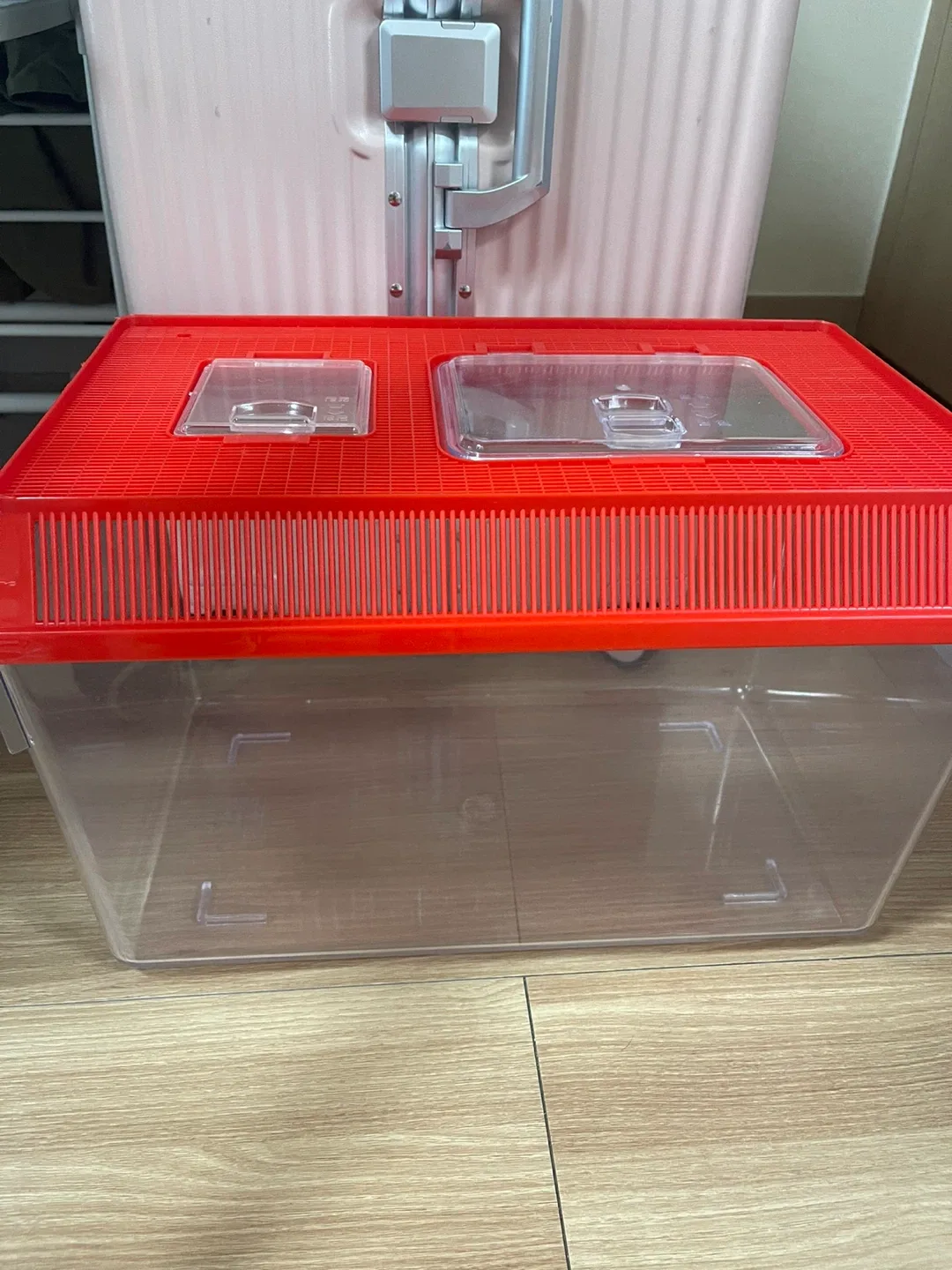 채집통 왕대사이즈 중고입니다.(달팽이밥포함)