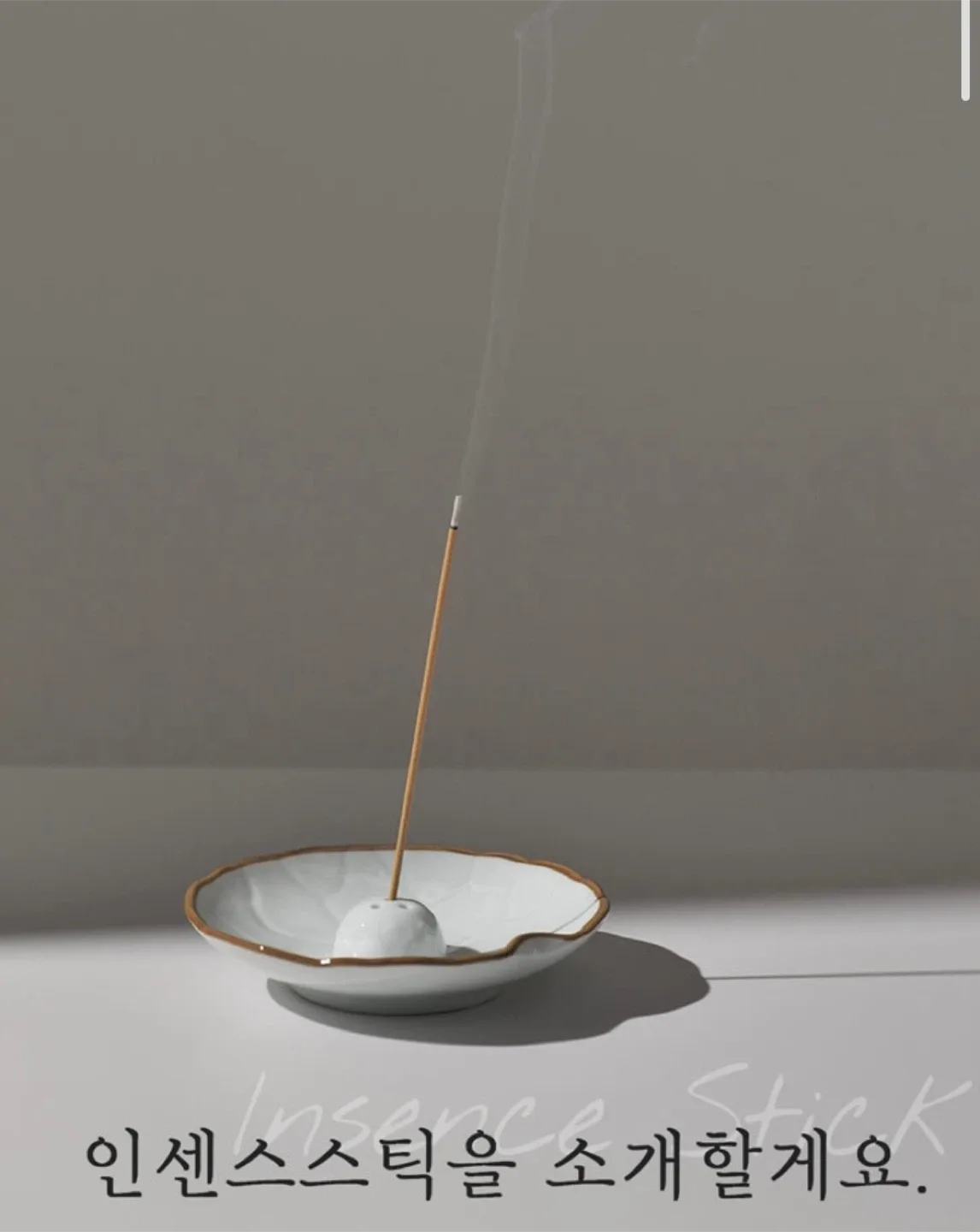 인센스월드 편백향 + 향꽂이