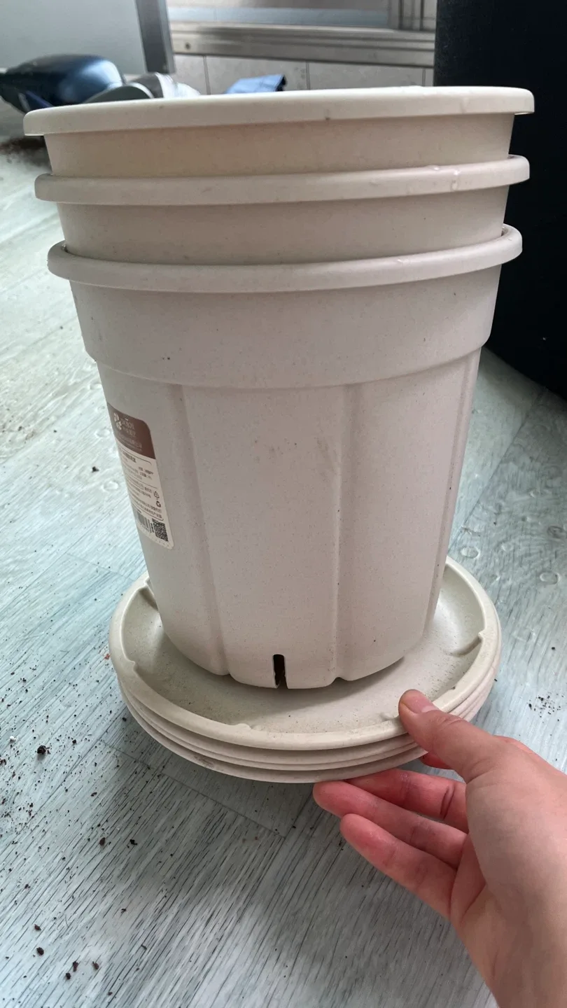 플라스틱 화분 +받침 중고 4개