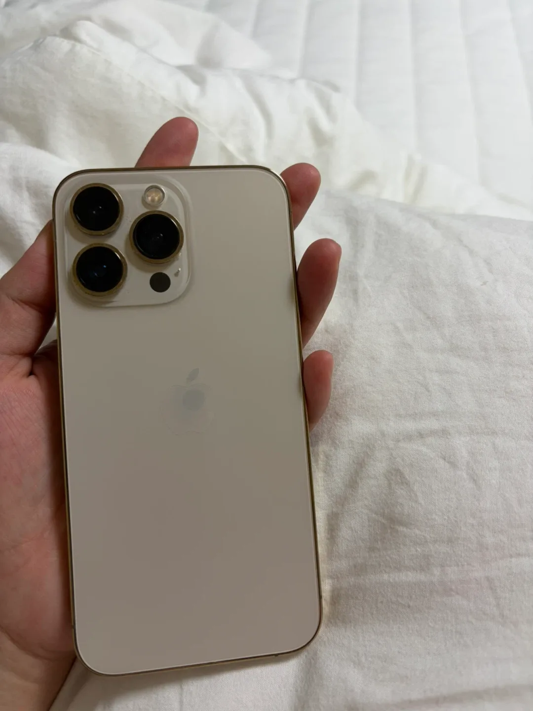 아이폰 13 Pro 골드 중고 256gb